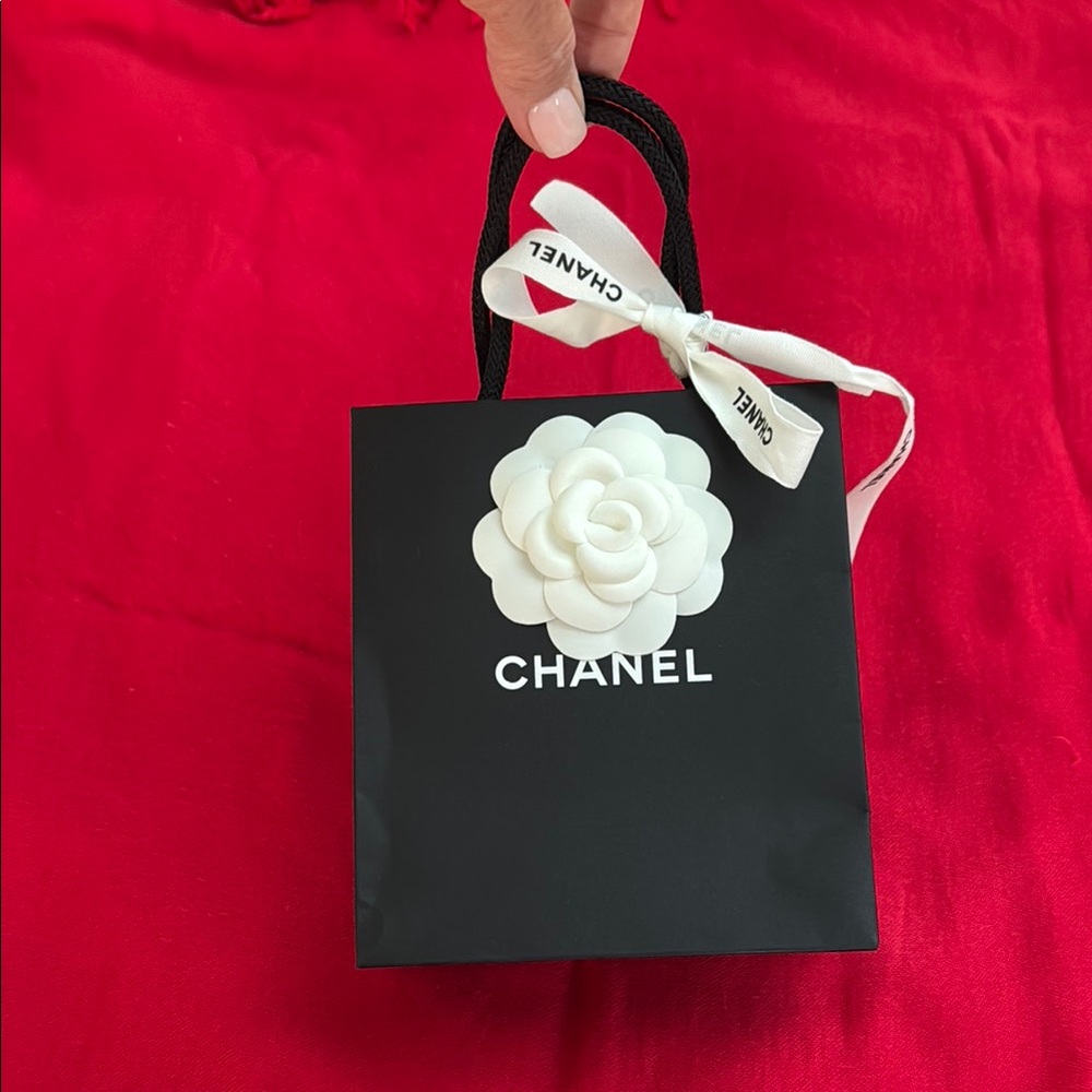 Chanel Black and White Mini Bag shopping bag